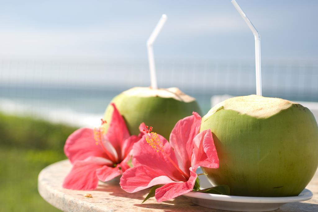 Oyo Hotel Arembepe Beach Hotel, Camacari المظهر الخارجي الصورة