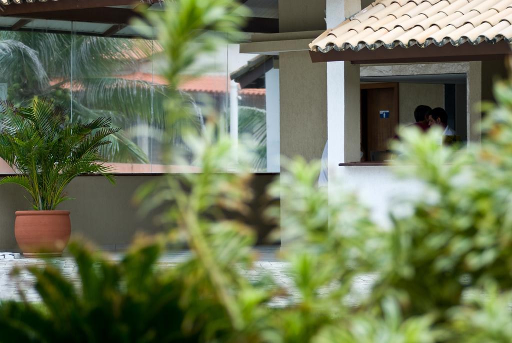 Oyo Hotel Arembepe Beach Hotel, Camacari المظهر الخارجي الصورة