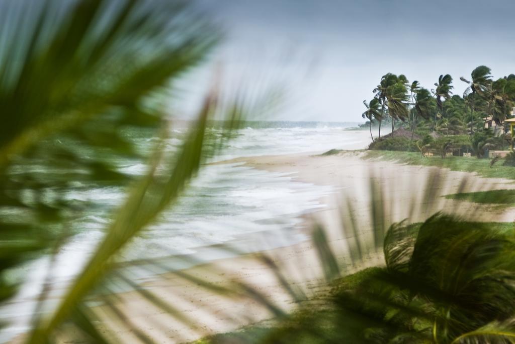 Oyo Hotel Arembepe Beach Hotel, Camacari المظهر الخارجي الصورة